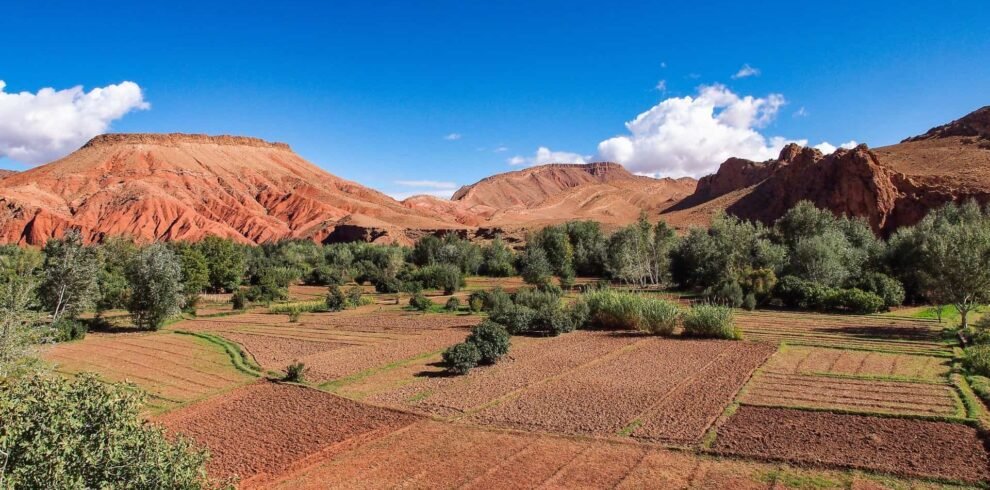 10 Days Private Desert Tour from Marrakech to Tangier