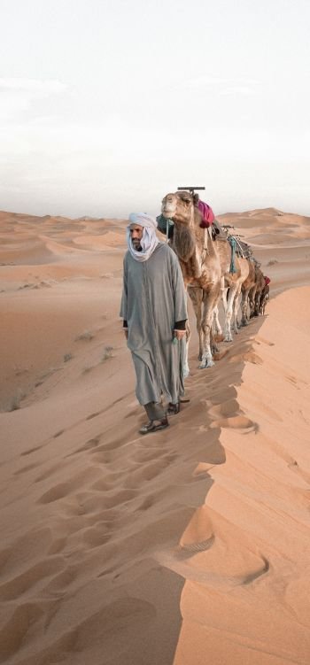 Best Morocco Private Tour Company